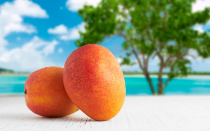 mango.png